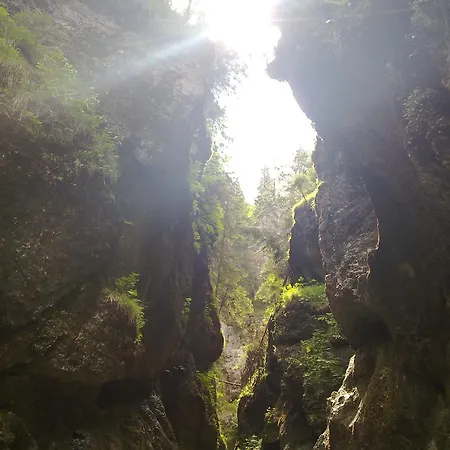 Guest house Vaclav 3*